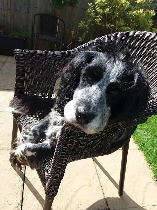 Mutts-Nutts Pet Shop & Groomers Picture 1