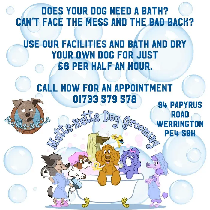 Mutts-Nutts Pet Shop & Groomers Picture 6