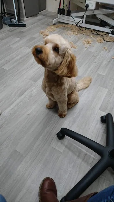 Mutts-Nutts Pet Shop & Groomers Picture 2