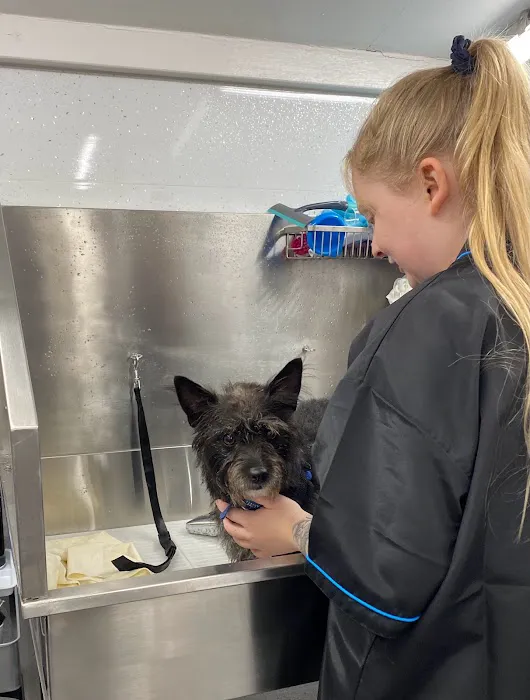 Mutts-Nutts Pet Shop & Groomers Picture 4