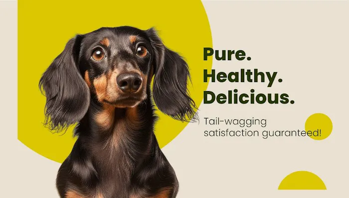 Floppy Ear Ltd Picture 6