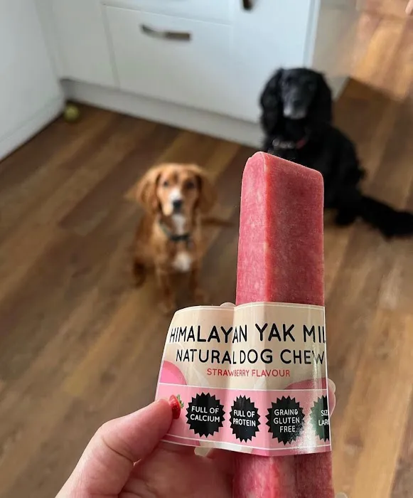 Floppy Ear Ltd Picture 2