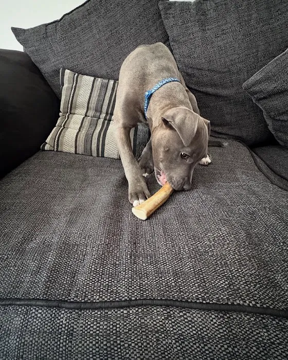 Floppy Ear Ltd Picture 7