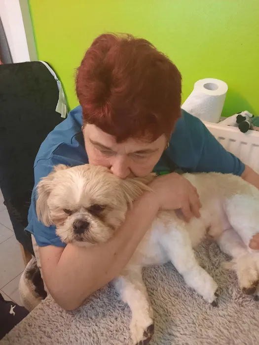 Shannon Lodge Veterinary Surgery - Sutton-in-Ashfield Picture 7