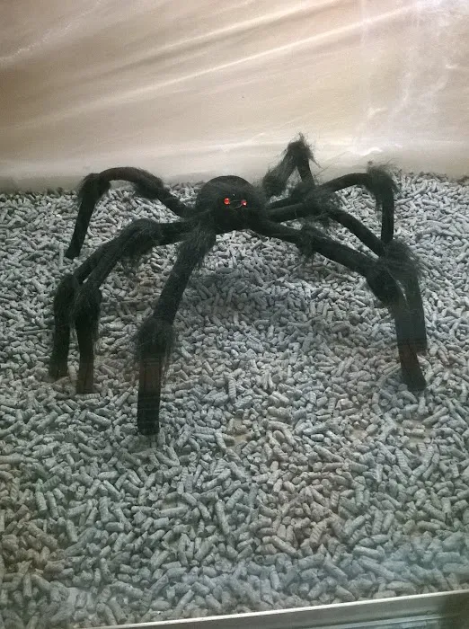 Pets at Home Peterborough Bretton Picture 6