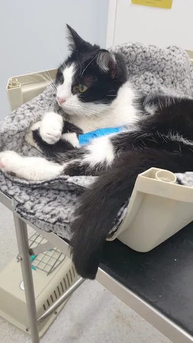 Pets at Home Peterborough Bretton Picture 10