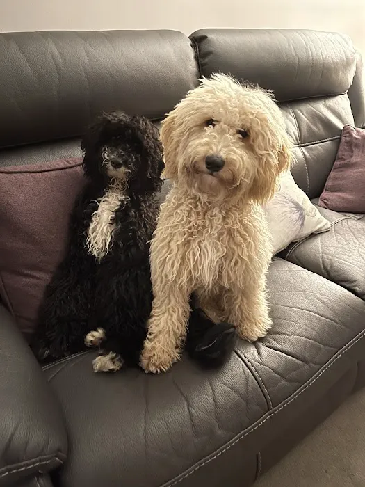 Pets at Home Peterborough Bretton Picture 7