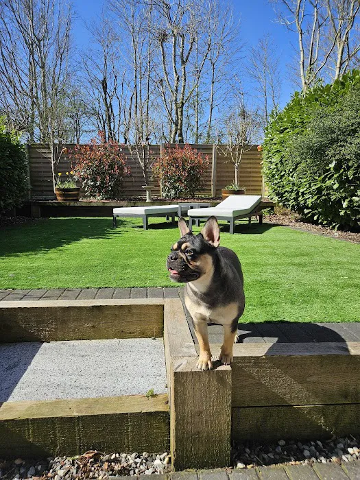 Pawsome Vets Picture 4