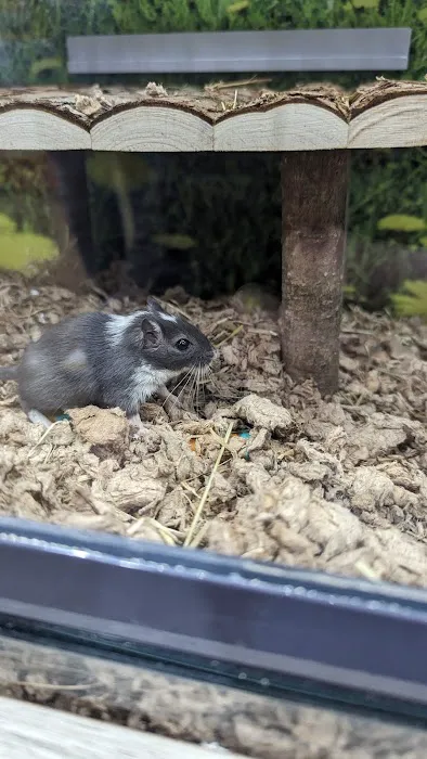 Jollyes - The Pet People Peterborough Picture 10