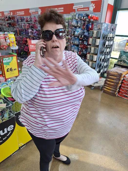 Jollyes - The Pet People Peterborough Picture 7