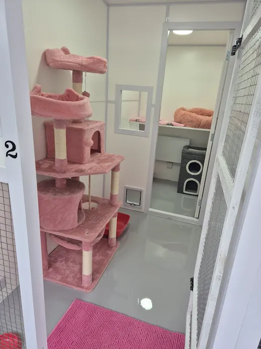 Quarrydale Lodge Cattery Picture 3
