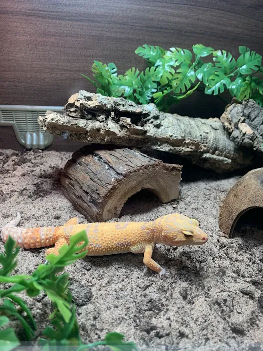 MMA Reptiles Picture 1