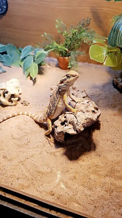 MMA Reptiles Picture 4