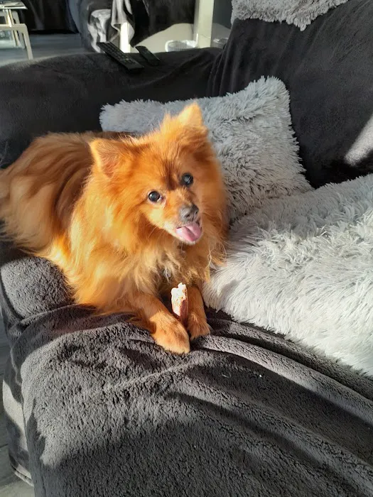 Dudley's Natural Doggy Treats Picture 1