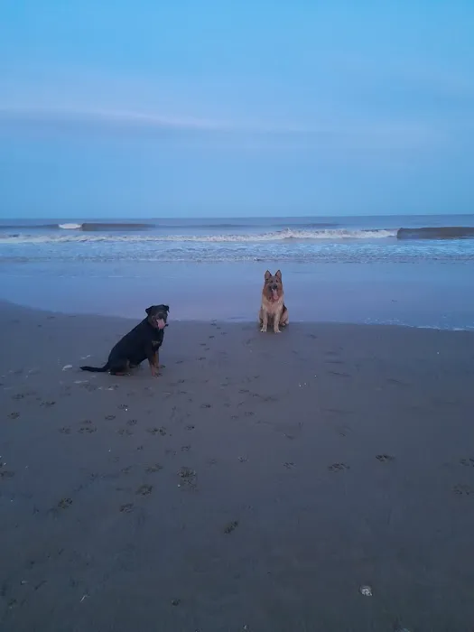 Dudley's Natural Doggy Treats Picture 2