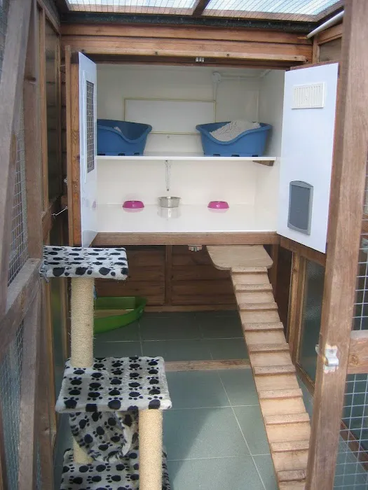 The Cottage Cattery Picture 3