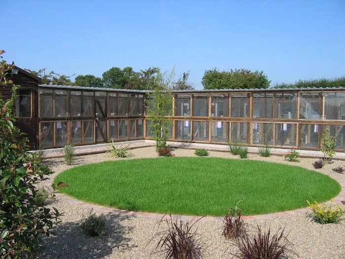 The Cottage Cattery Picture 4