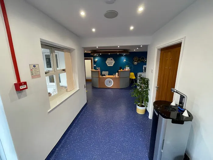 Beehive Vets (Rothwell) Picture 5