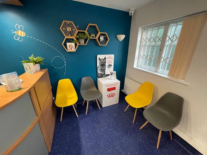 Beehive Vets (Rothwell) Picture 3