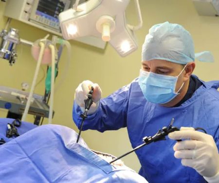 Beehive Vets (Rothwell)