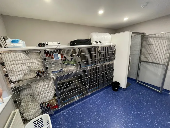 Beehive Vets (Rothwell) Picture 7