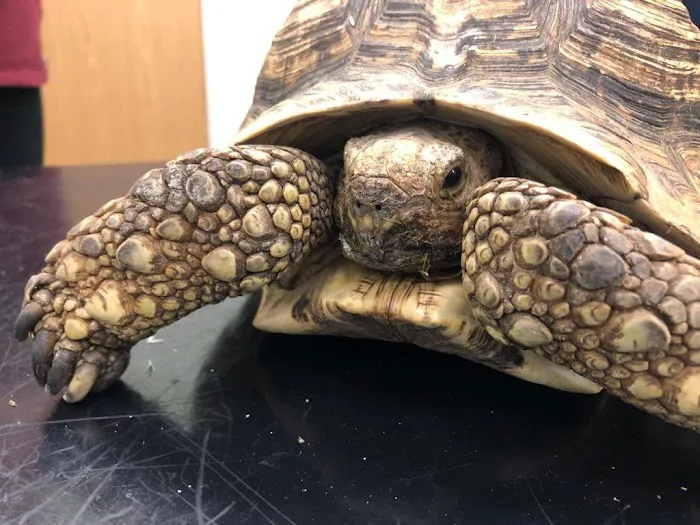 Chantry Vets Surgery, Middleton Picture 2