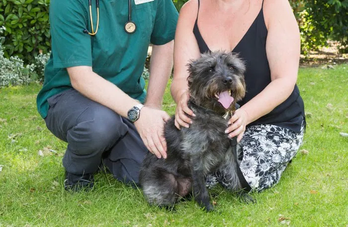 Chantry Vets Surgery, Middleton Picture 5