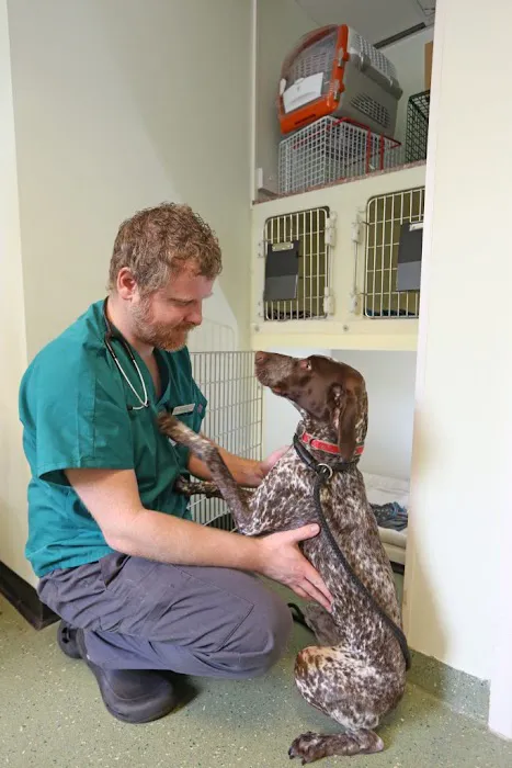 Chantry Vets Surgery, Middleton Picture 7
