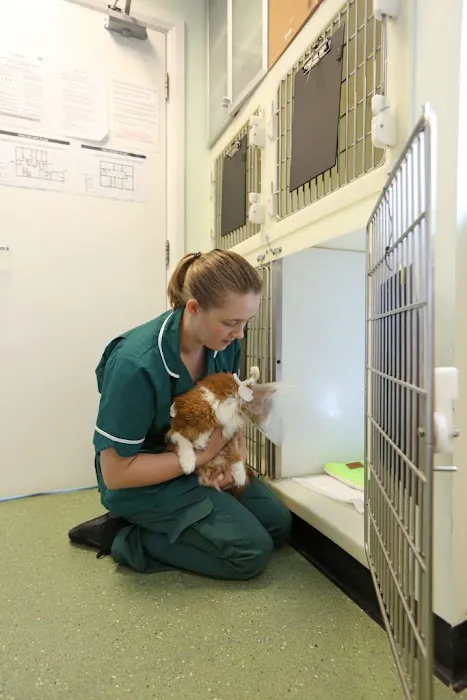 Chantry Vets Surgery, Middleton Picture 9