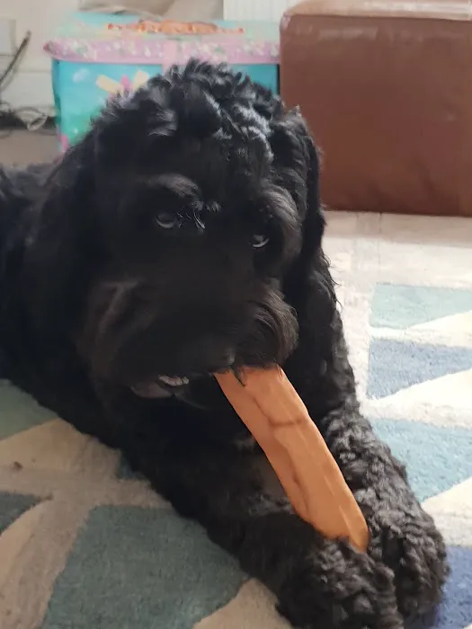 Tails 'n' Whiskers Picture 1