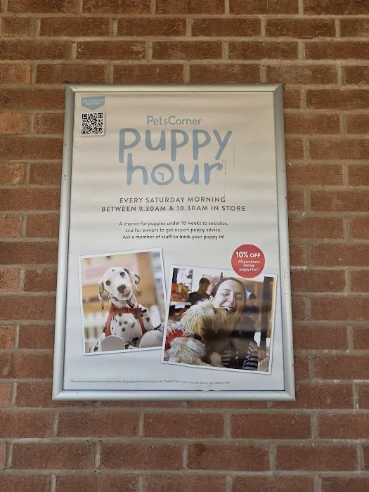 Pets Corner Picture 7