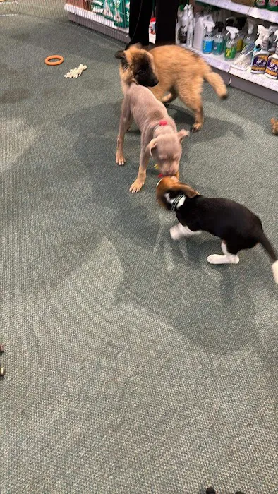 Pets Corner Picture 6