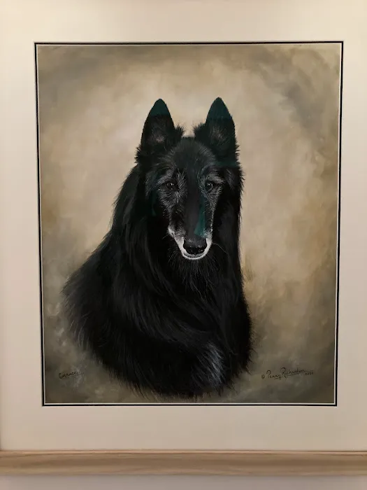 Pets Corner Picture 8