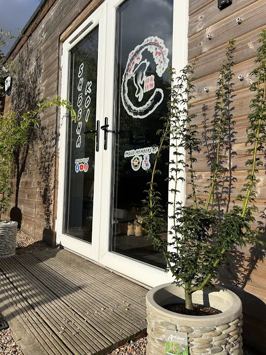 Shosha Koi Picture 3