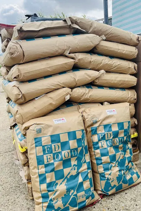 Shosha Koi Picture 5