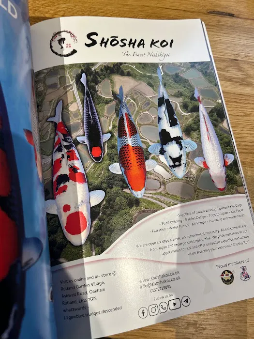 Shosha Koi Picture 10