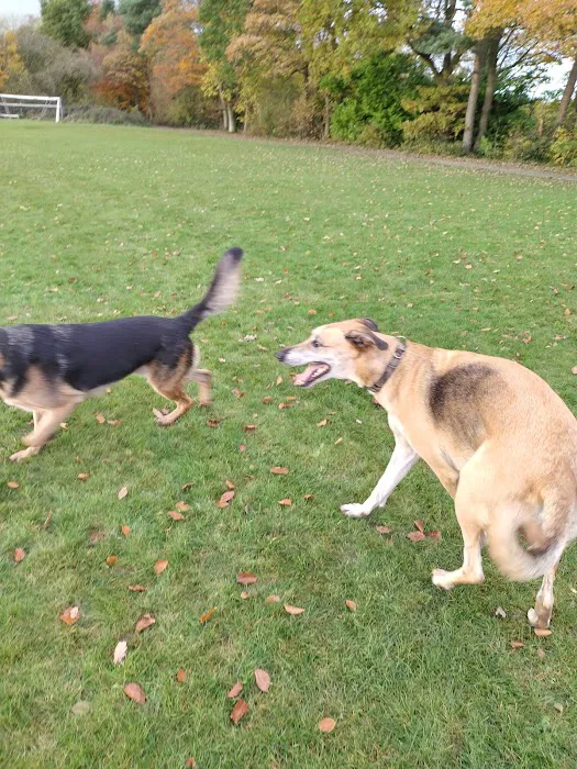 Cross Green Veterinary Centre Picture 7