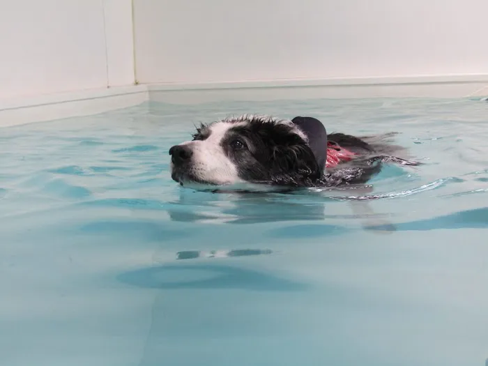 Carlton Hydrotherapy Centre Picture 2