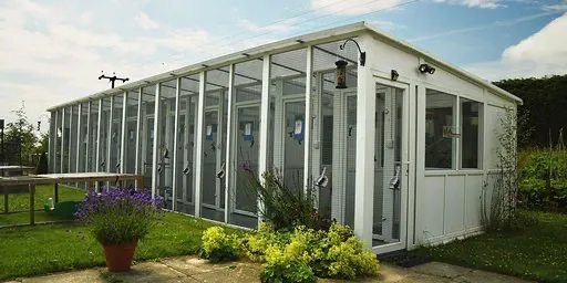 Greengates Boarding Cattery Picture 1
