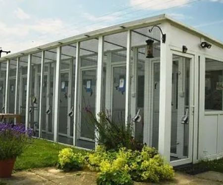 Greengates Boarding Cattery