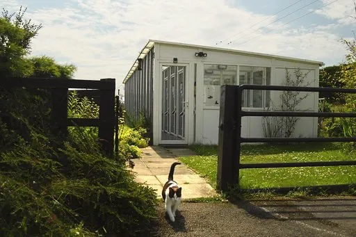 Greengates Boarding Cattery Picture 9