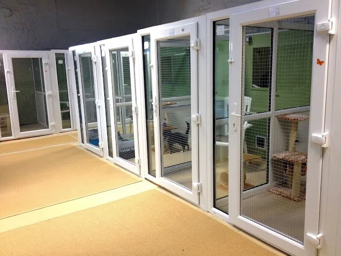 Kelcliffe Cattery Picture 2
