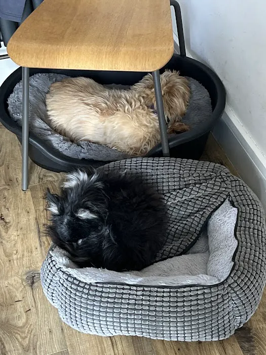 The Visiting Vet Company Picture 5