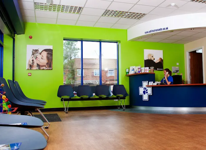 White Cross Vets Picture 1