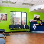 White Cross Vets