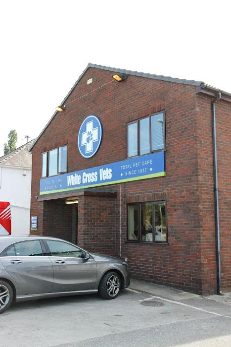 White Cross Vets Picture 3