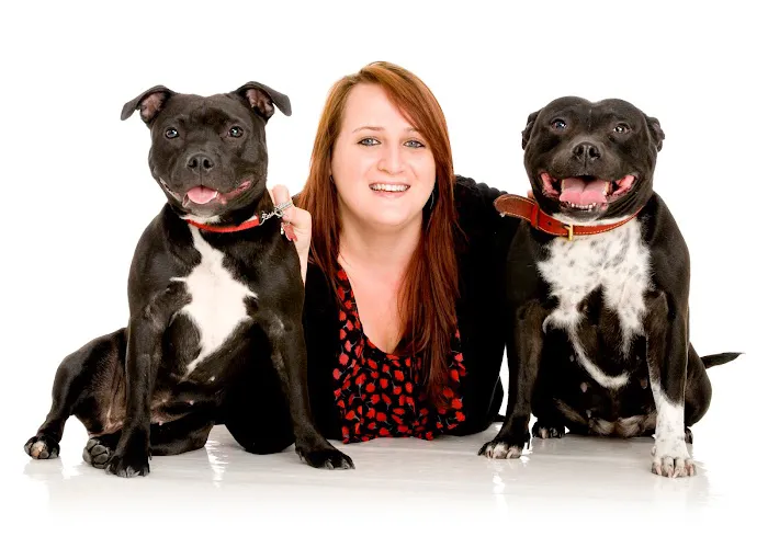 White Cross Vets Picture 6