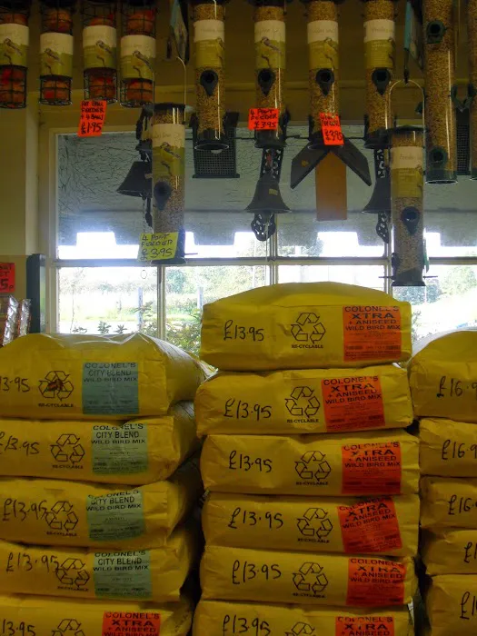 Wild Bird Food Shop Northern Ireland & Garden Fireworks Picture 6