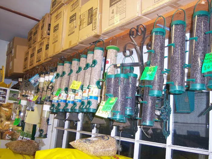 Wild Bird Food Shop Northern Ireland & Garden Fireworks Picture 7