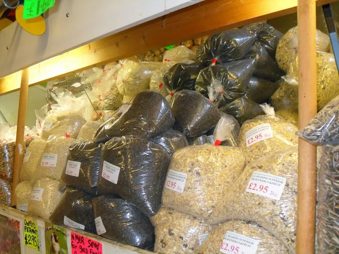 Wild Bird Food Shop Northern Ireland & Garden Fireworks Picture 9